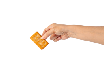 Square cracker in hand on transparent background