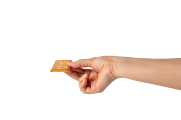Square cracker in hand on transparent background
