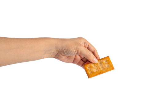 Square cracker in hand on transparent background