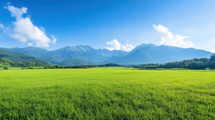 Fototapeta premium Scenic landscape with grassland forest mountains and sky