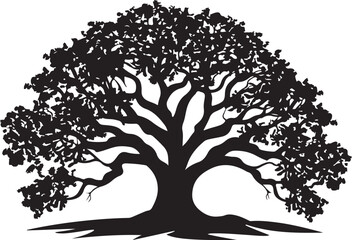Fototapeta premium Nature Tree Silhouette Bundle
