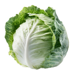 Fototapeta premium cabbage isolated on white or transparent png