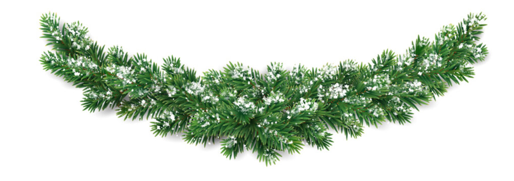 Horizontal Christmas garland. Snowy fir branches. Frosty festive design for winter celebration banners, greeting cards, invitations, and seasonal posters. Transparent background in vector file.
