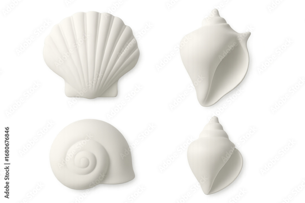 Poster four white seashells of different shapes are creating a beautiful composition on a transparent backg