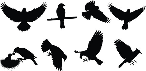 Bird silhouette collection in flight and perching, feeding baby birds, nest scene, vector illustration for nature, wildlife, and design themes