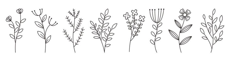 Floral Minimalist Hand Drawn 