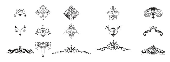 flourish designs vector illustration