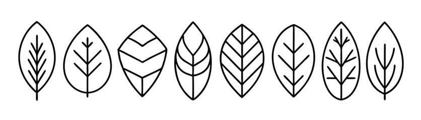 leaves line art stylish artworks