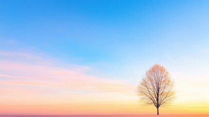 The Silhouette of Trees in Sunrise