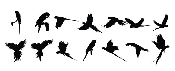 macau parrot bird silhouettes vector illustration set