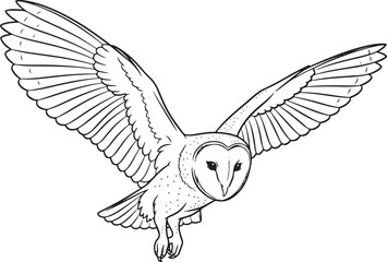 barn owl Line Art Vector Illustration