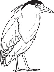 Obraz premium night heron Line Art Vector Illustration