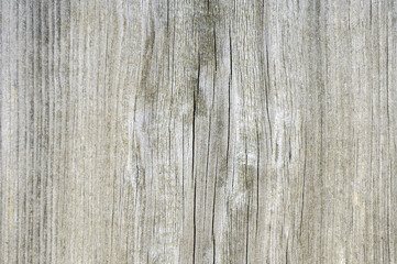 texture of old light wood. background