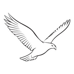 Obraz premium Eagle Line Art Vector Illustration