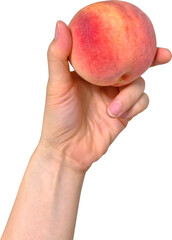 Fresh Ripe Peach Held in Hand Isolated on White