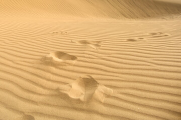 Sandtextur in den Dünen von Maspalomas