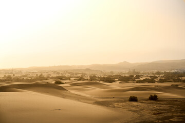 Die Dünen von Maspalomas im Nebel