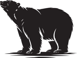 Polar bear in snow silhouette