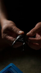 スマトラオオヒラクワガタ（Dorcus titanus）を持つ男性の手のクローズアップ。暗めの背景と虫かごが映る昆虫写真。Insect enthusiast