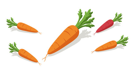 Colorful carrots with shadows on white background