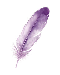 A watercolor painting of a single purple feather, featuring delicate details and soft shading, against a white background.