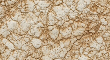 Fototapeta premium Cracked dry earth with beige and brown tones