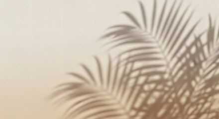 Obraz premium Palm leaf shadows on a textured beige wall