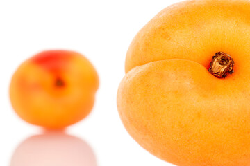 Ripe organic apricots isolated on white background, macro.