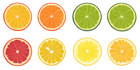 Fototapeta premium set of citrus fruit