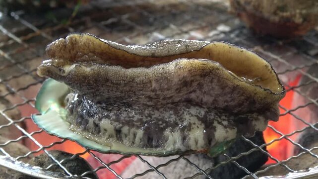 三重県産の殻付きアワビを炭火で踊り焼き クローズアップ  4K