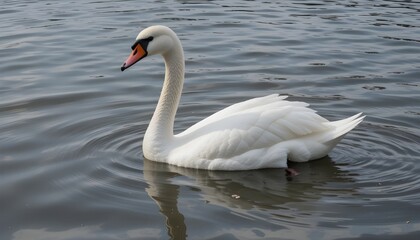 Tapis floral avec grand couloir.
