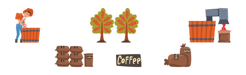 Coffee Production with Man Farmer Harvest Vector Set