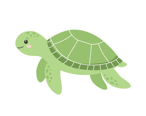 Cute turtle isolated on white background 