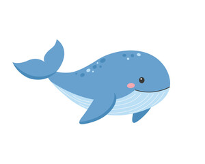 Cute whale isolated on white background 