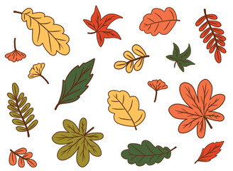 A set of autumn leaves. An autumn set of cute and cozy design elements. Autumn, Thanksgiving, fall season. A simple set of leaves from different trees.
