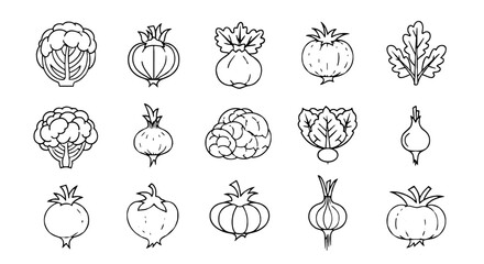 Vegetable line art collection, various garden produce. Vegan, diet, health, organic, raw, freshness, harvest.