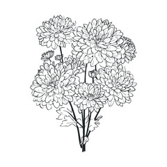 Chrysanthemum floral arrangement for design projects. Vector illustration