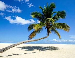 A vibrant palm tree leans gracefully over a pristine white-sand beach, bathed in the bright sunlight of a cloud-scattered azure sky.