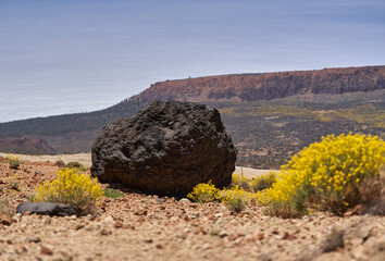 Lava bomb on Teide plateau