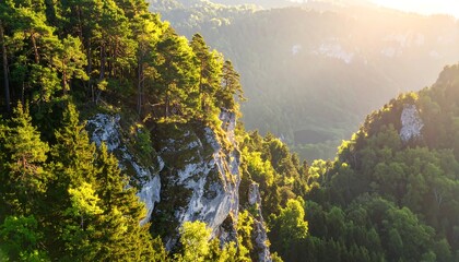 Mountain peak with dense forest at sunset. Golden light bathes the rocky terrain
