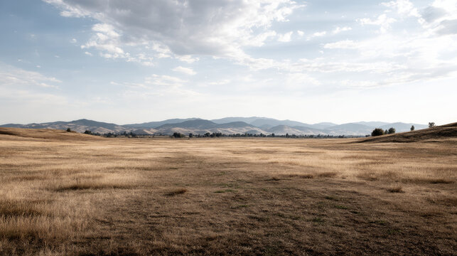 Free space nature background your decor. Blurred beach background green coconut palm trees. Sunny day blue sky and sunlight. Summer time. Beautiful nature sea ocean mountains and landscape, scenery
