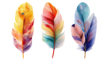 Three vibrant, colorful feathers in a horizontal row