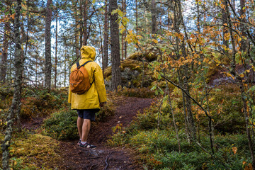 Obraz premium Tourism. Hiking. Ladoga skerries on Lake Ladoga. A male tourist in a yellow raincoat with a backpack on the stone islands in the forest. Republic of Karelia, Russia.