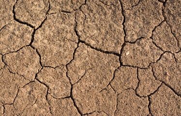 desert surface background Cracked Earth Texture Arid Land Surface