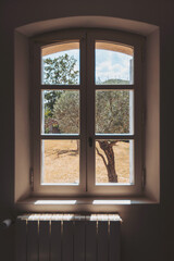 Obraz premium View from a rustic window showcasing a sunlit olive tree, inviting tranquility and a touch of nature's beauty in a serene countryside setting