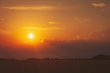 Golden embrace of sunset casts warm hues over the horizon with clouds softly illuminated by fading...