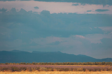 Vast open land beneath a dramatic sky showcases nature's beauty at dusk, inviting contemplation and wonder in a tranquil atmosphere away from the city