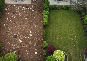 Aerial view of a yard before and after cleaning, showing a dramatic transformation.