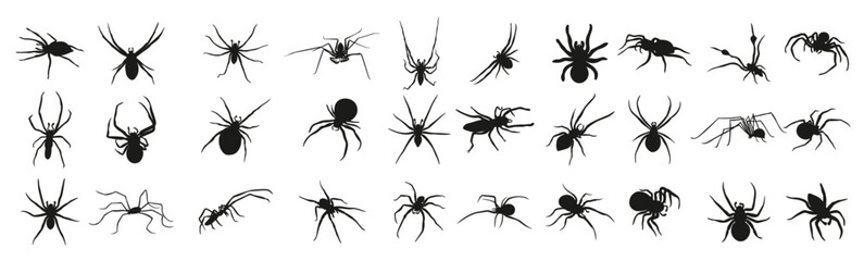 black silhouettes of spiders_9640749 [Converted]