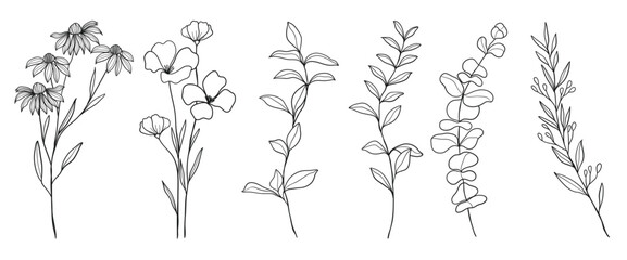 BotanicalElementPu vector illustration